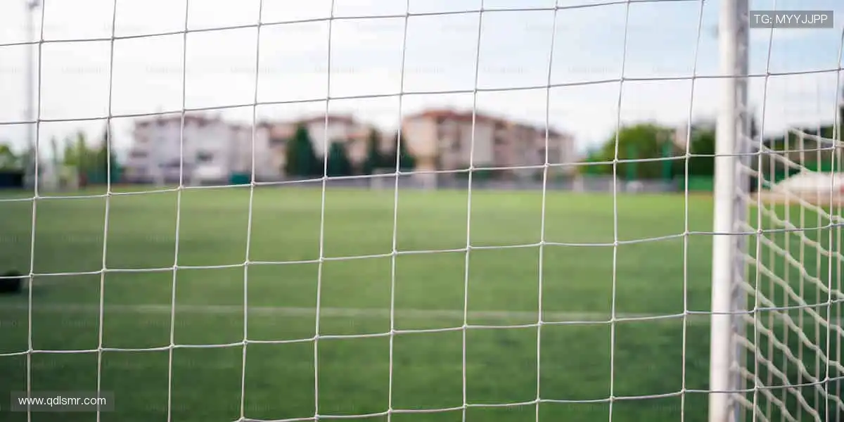 海量正版周边，让热爱触手可及！🎁⚽️🏀❤️